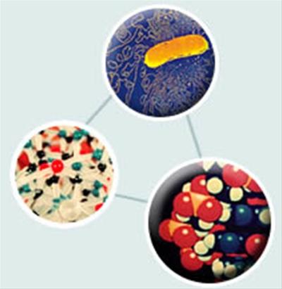 50 Years of DNA Discovery
